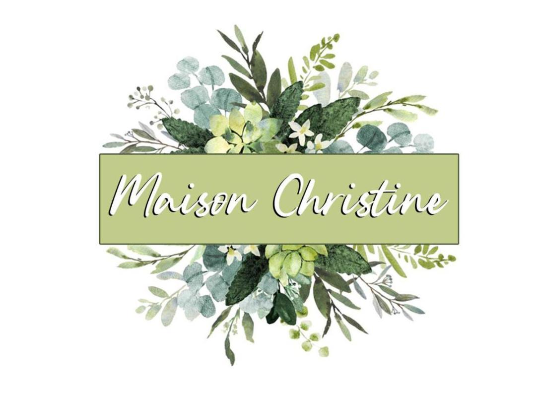 Maison Christine Torino Eksteriør bilde